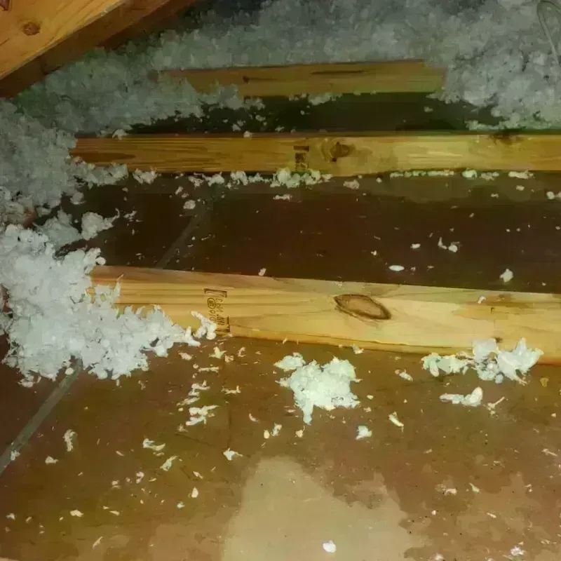 Attic Water Damage in Edgartown, MA